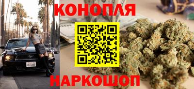 дживик Шелехов