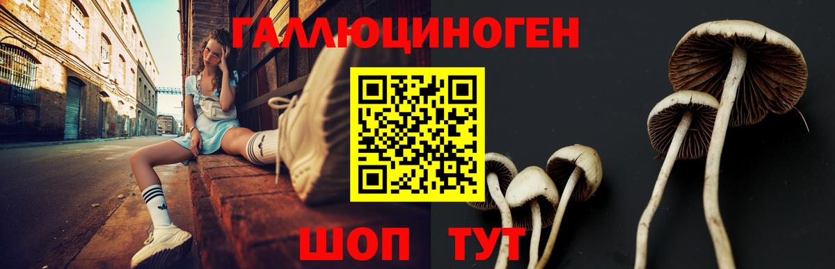 Кыштым  Псилоцибиновые грибы прущие грибы  Вход с VPN  Псилоцибиновые грибы мухоморы 